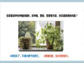 【核心素养】人教鄂教版科学六上 5.17《设计与建造“植物工厂”》课件+教案+分层练习（含答案）