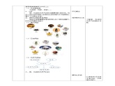 【核心素养】人教鄂教版科学六上 4.13《煤、石油和天然气》教案