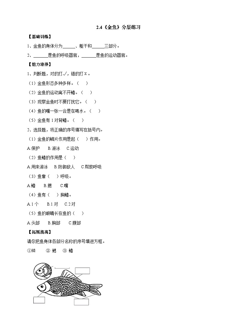 【同步分层练习】人教鄂教版科学一年级上册--2.4《金鱼》分层练习（含答案）第1页