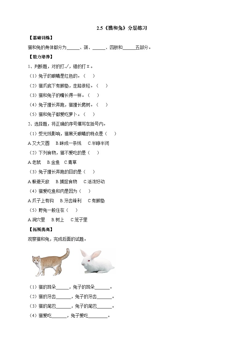 【同步分层练习】人教鄂教版科学一年级上册--2.5《猫和兔》分层练习（含答案）01