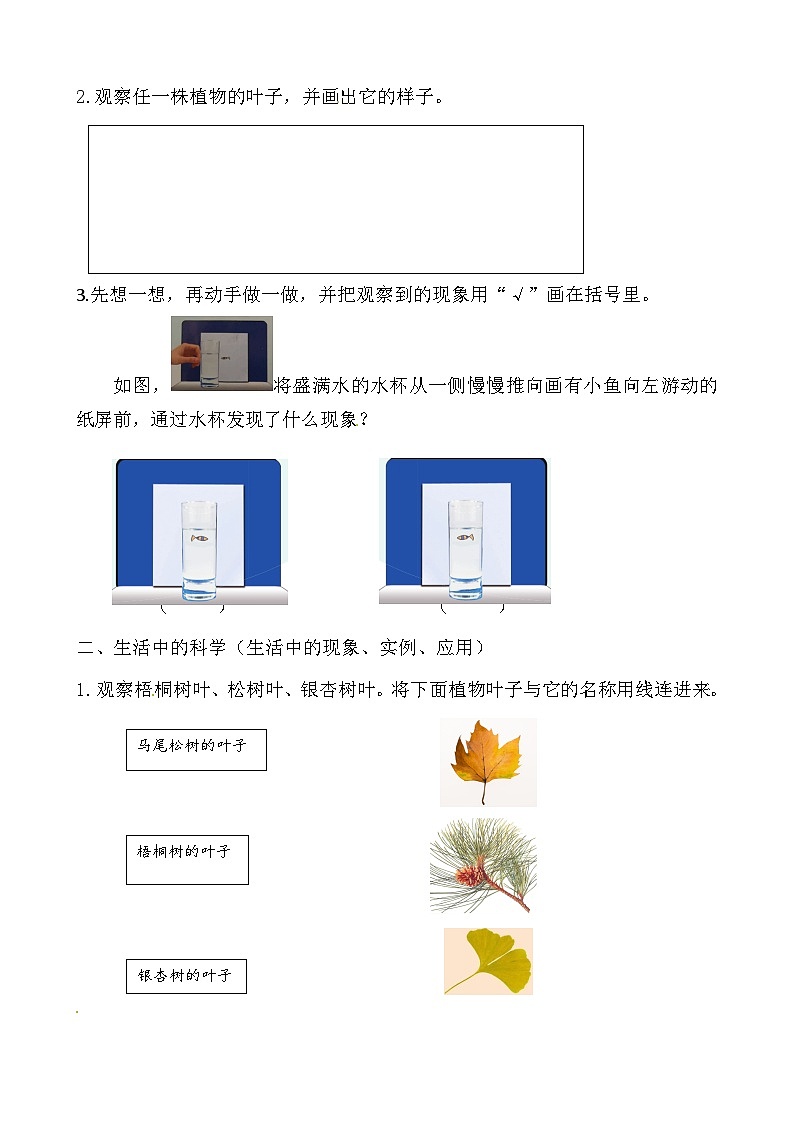 【同步学案】青岛版（六三制）科学一年级上册-1《走进科学课》 导学案（含答案）第2页