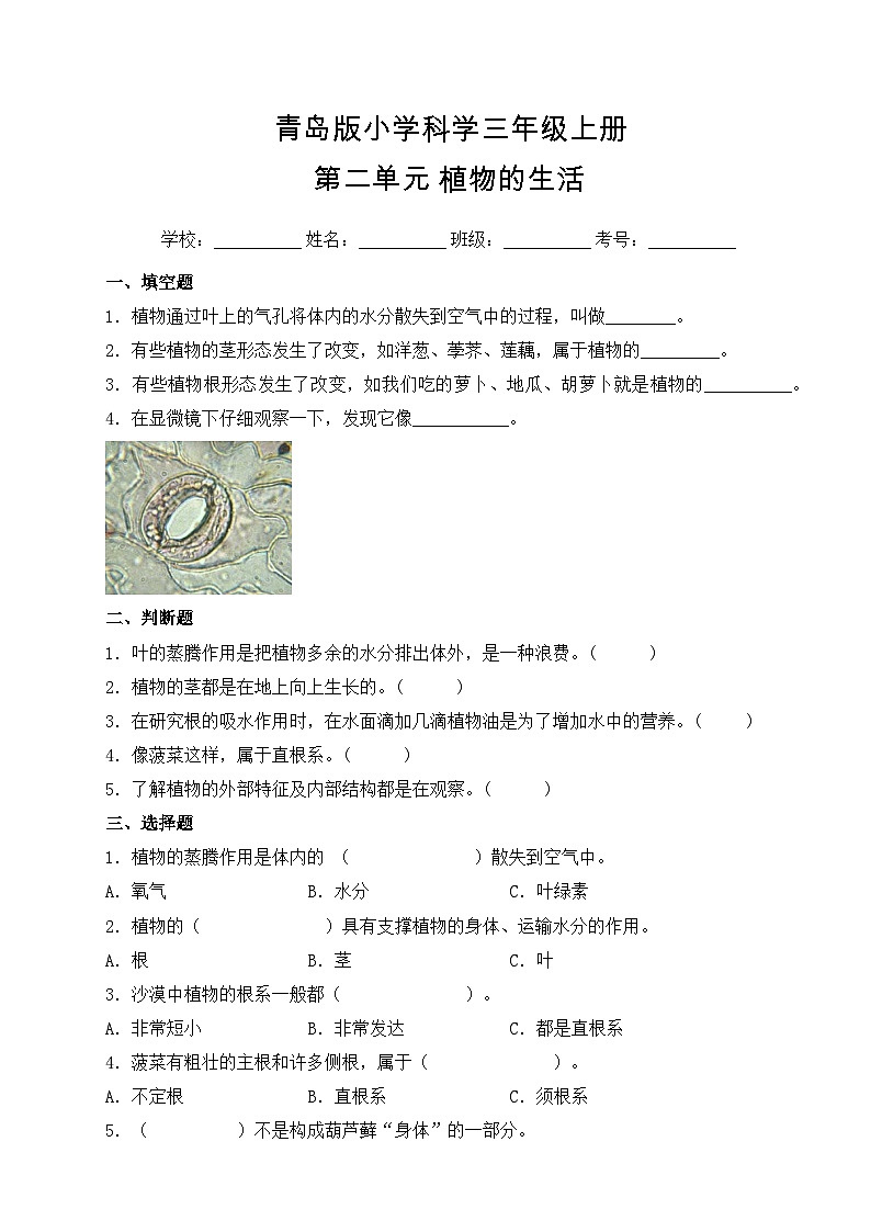 【基础卷】青岛版（六三制）科学三年级上册第二单元 植物的生活 单元A卷(含答案解析)01