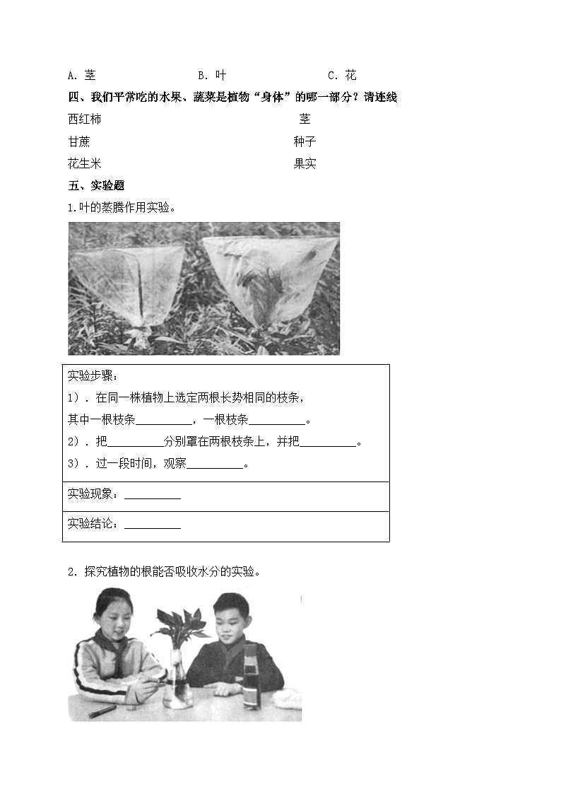 【基础卷】青岛版（六三制）科学三年级上册第二单元 植物的生活 单元A卷(含答案解析)02