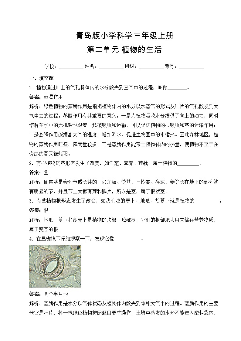 【基础卷】青岛版（六三制）科学三年级上册第二单元 植物的生活 单元A卷(含答案解析)01