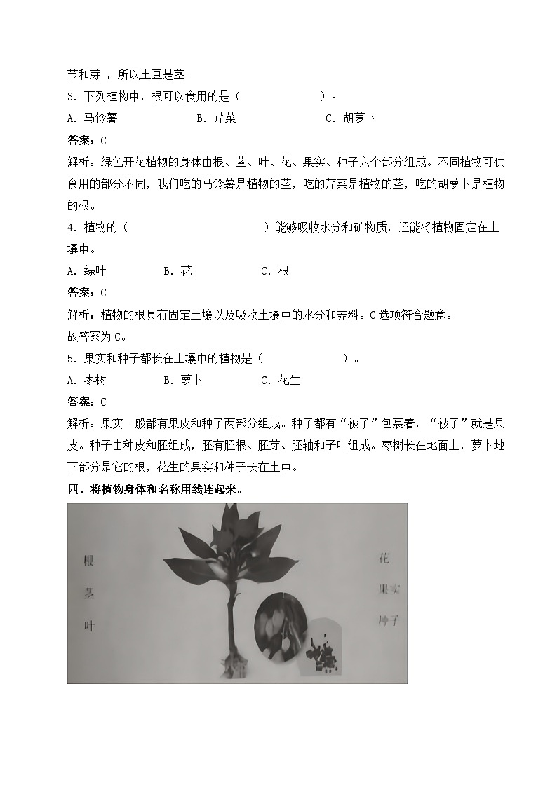 【提升卷】青岛版（六三制）科学三年级上册第二单元 植物的生活 单元B卷(含答案解析)03