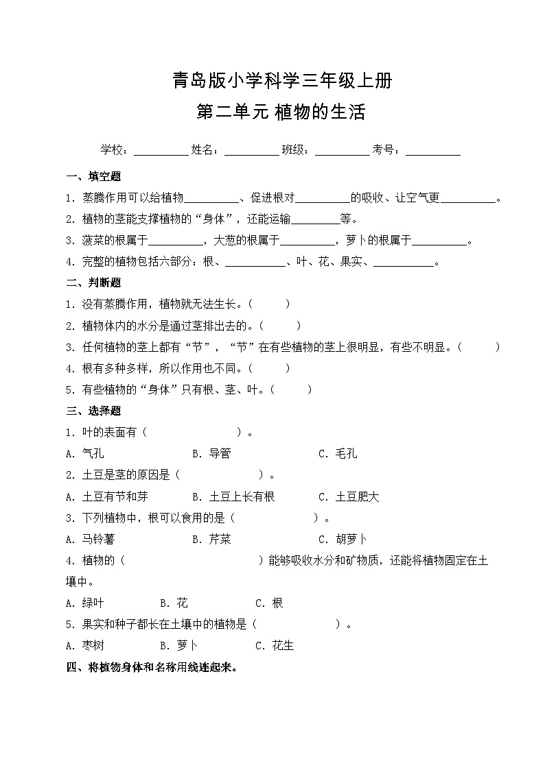 【提升卷】青岛版（六三制）科学三年级上册第二单元 植物的生活 单元B卷(含答案解析)01
