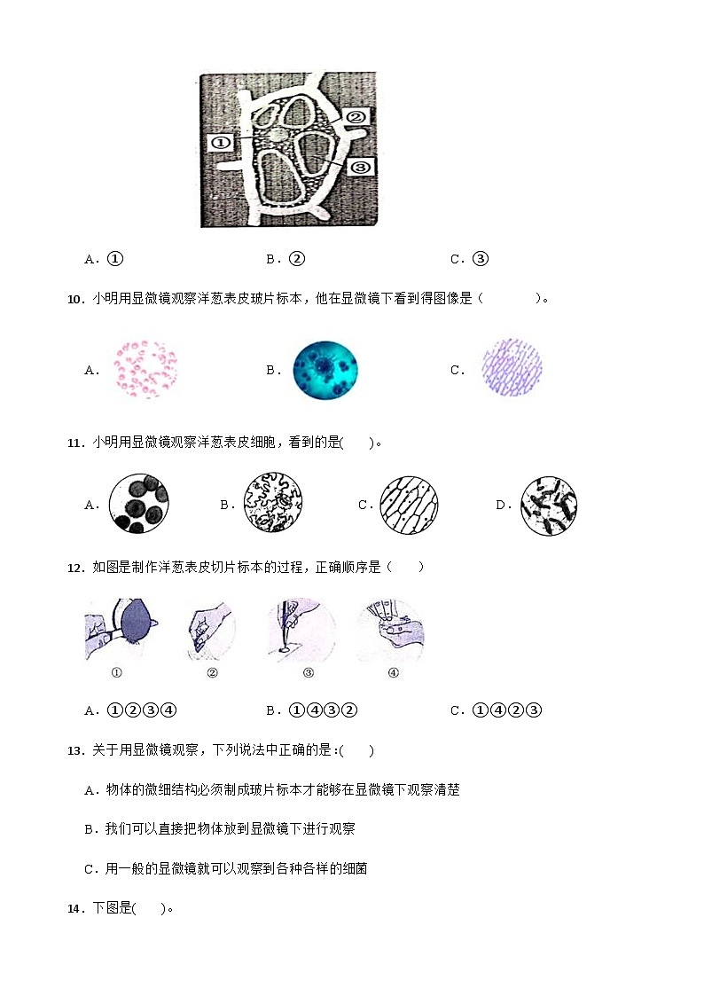 【同步练习】教科版(2017)科学六年级上册--1.4观察洋葱表皮细胞  练习题（附答案）02