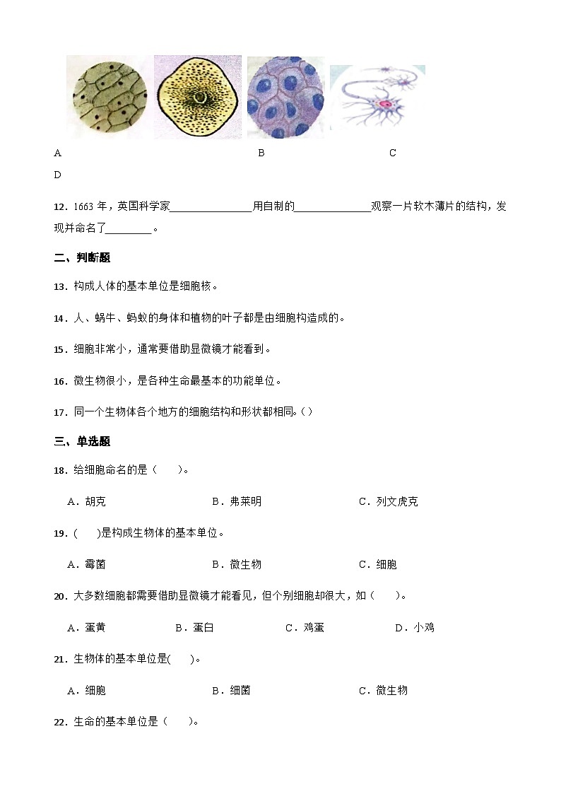 【同步练习】教科版(2017)科学六年级上册--1.5观察更多生物细胞  练习题（含答案）02