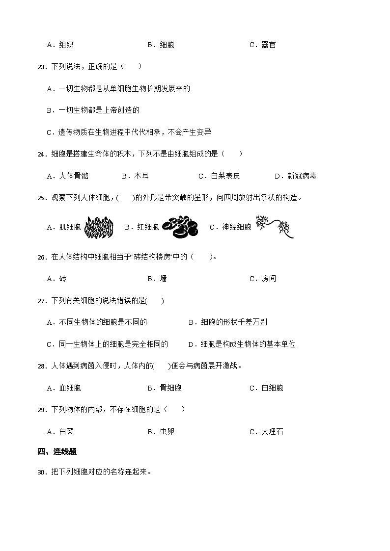 【同步练习】教科版(2017)科学六年级上册--1.5观察更多生物细胞  练习题（含答案）03