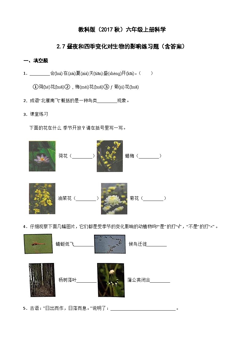 【同步练习】教科版(2017)科学六年级上册--2.7昼夜和四季变化对生物的影响  练习题（含答案）01