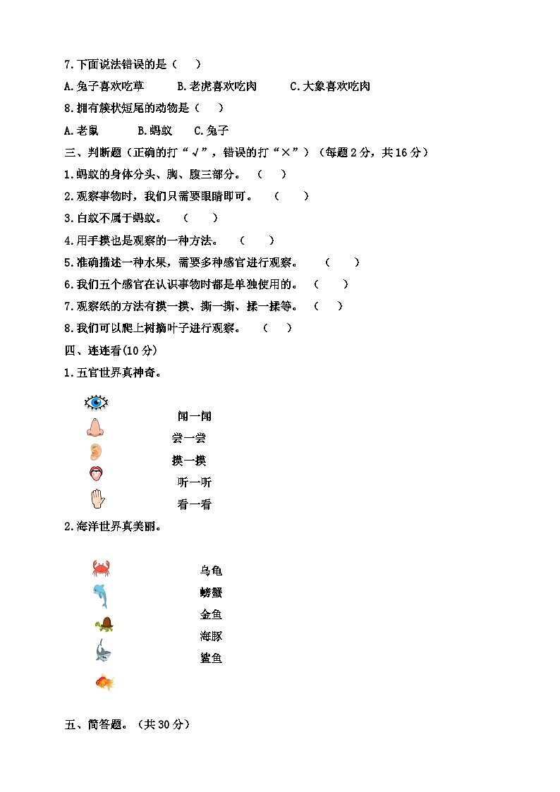 【阶段测试】大象版(2017)科学一年级上册--期中调研卷（含答案）02