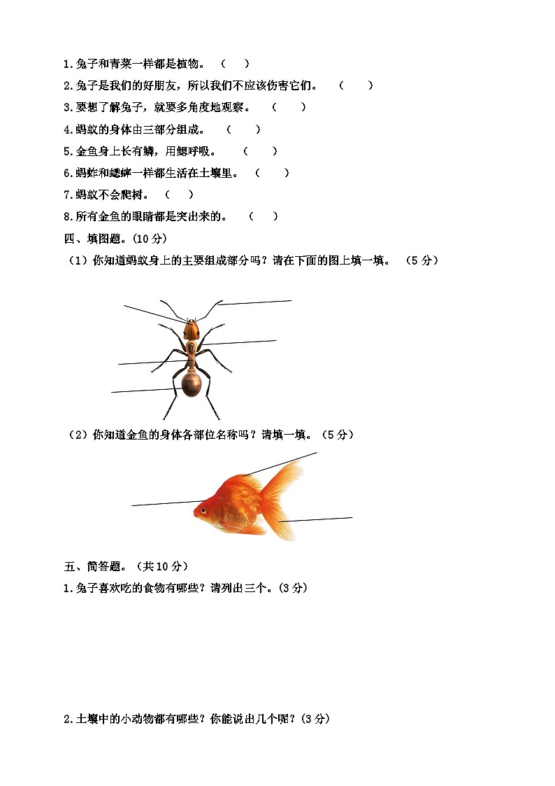 【阶段测试】大象版(2017)科学一年级上册--第二单元 调研卷（含答案）02