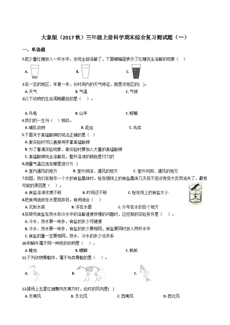 【阶段测试】大象版(2017)科学三年级上册--期末综合复习测试题（一）（含答案）01
