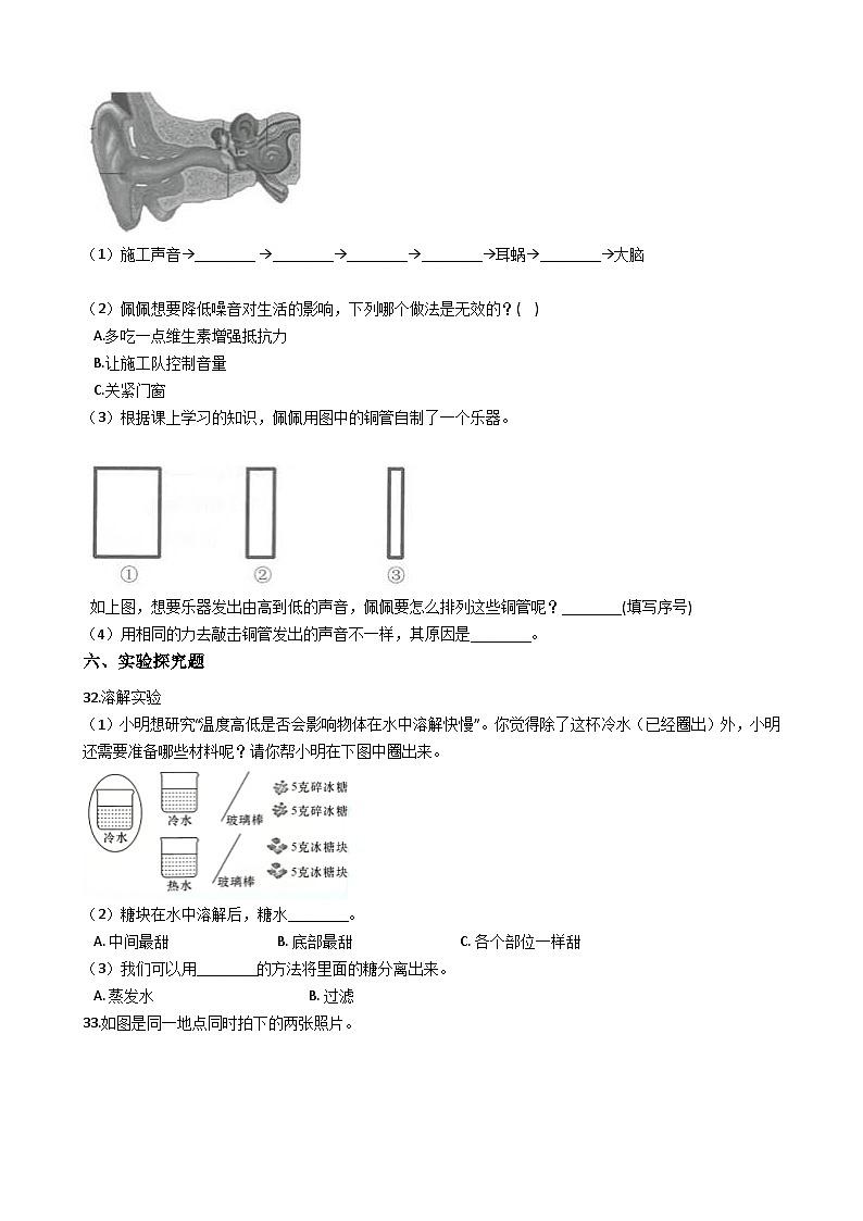 【阶段测试】大象版(2017)科学三年级上册--期末综合复习测试题（三）（含答案）03