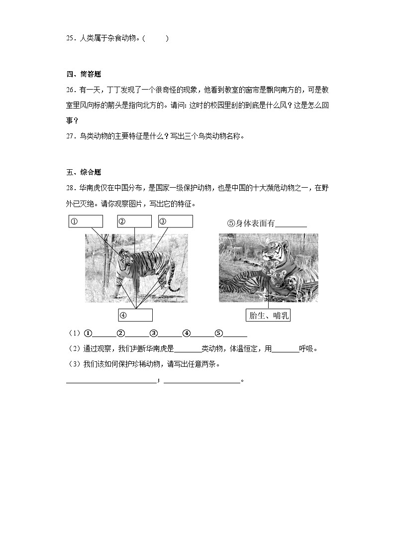 【阶段测试】大象版(2017)科学三年级上册--第二单元 过关测试题动物的特征（一）（含答案）03