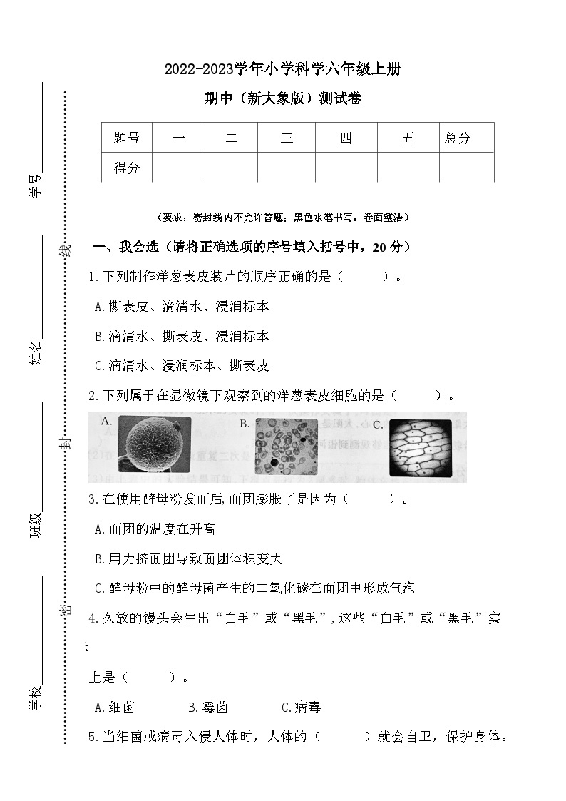 【阶段测试】大象版(2017)科学六年级上册--期中测试卷（含答案）01