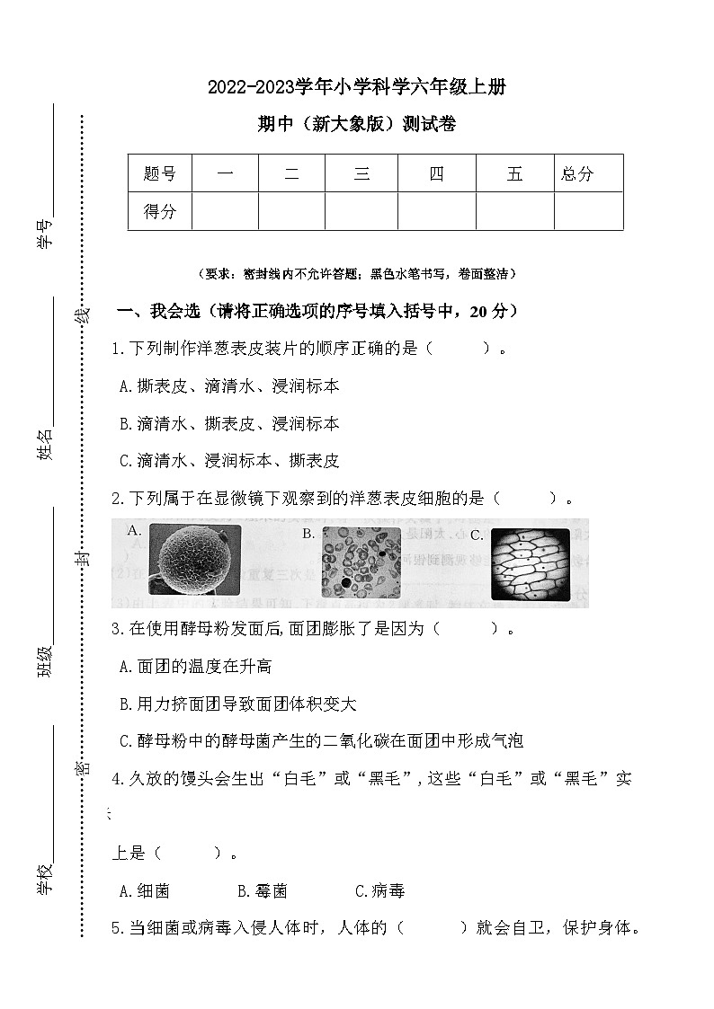 【阶段测试】大象版(2017)科学六年级上册--期中测试卷（含答案）01