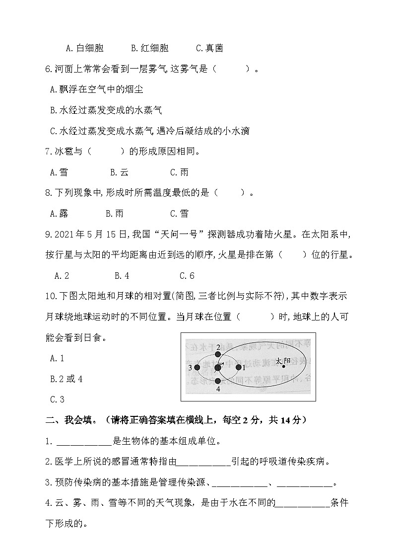【阶段测试】大象版(2017)科学六年级上册--期中测试卷（含答案）02
