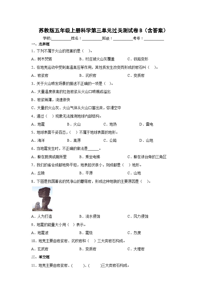 【阶段测试】苏教版(2017)科学五年级上册--第三单元：地球的表面和内部 过关测试卷B（含答案）01