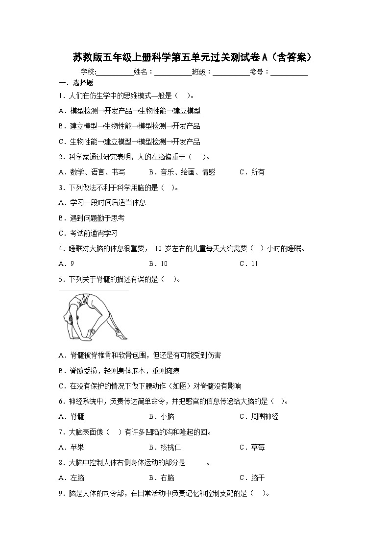 【阶段测试】苏教版(2017)科学五年级上册--第五单元：人体“司令部” 过关测试卷A（含答案）01