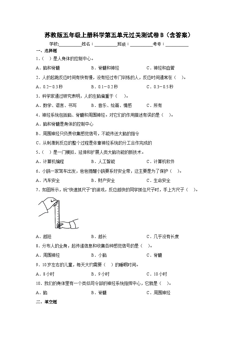 【阶段测试】苏教版(2017)科学五年级上册--第五单元：人体“司令部” 过关测试卷B（含答案）第1页