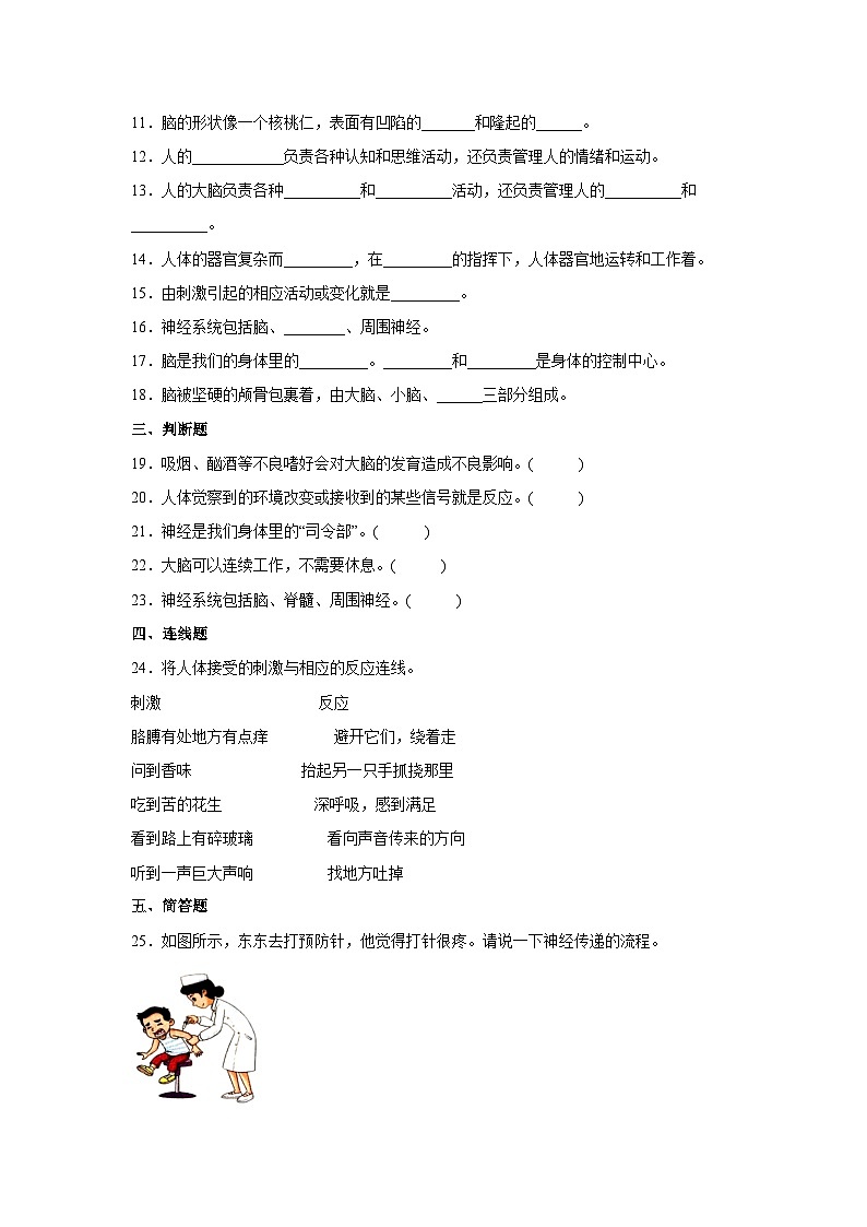 【阶段测试】苏教版(2017)科学五年级上册--第五单元：人体“司令部” 过关测试卷B（含答案）第2页
