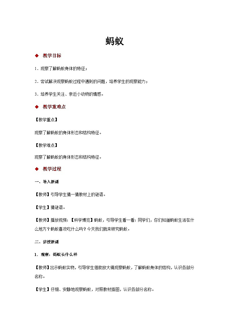 大象版科学一上 2.3 《 蚂蚁》（ 课件+教案+视频）01