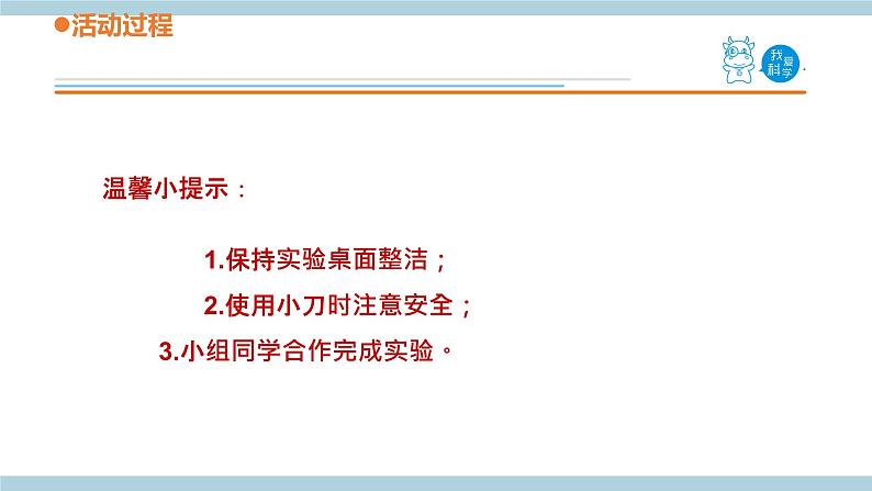 青岛版《科学》六制三年级上册3.《动物的翅膀》课件PPT+教案08