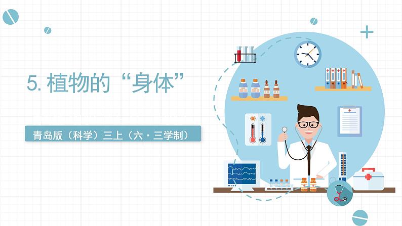 青岛六三制科学三年级上 5《植物的“身体”》教学课件第1页