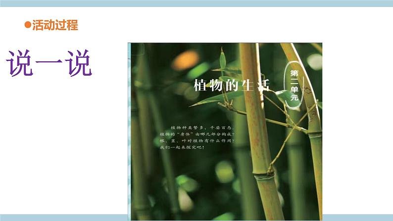青岛六三制科学三年级上 5《植物的“身体”》教学课件第5页