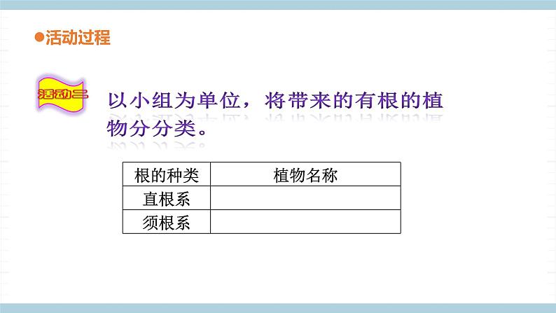 青岛版《科学》六制三年级上册6《植物的根》课件PPT+教案07