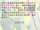 青岛版《科学》六制三年级上册8《叶的蒸腾作用》课件PPT+教案