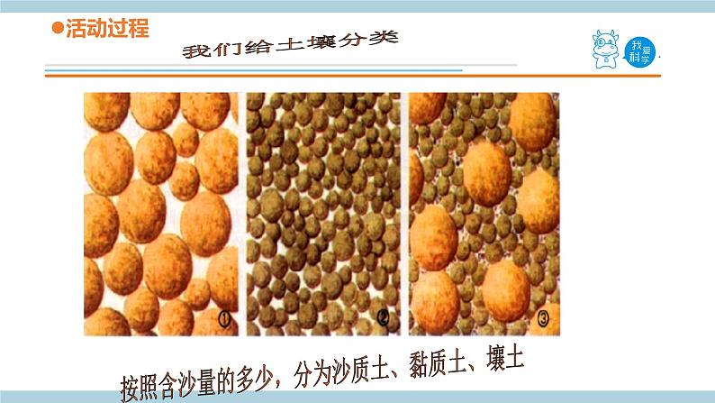 青岛版《科学》六制三年级上册10.《土壤的种类》课件PPT+教案05