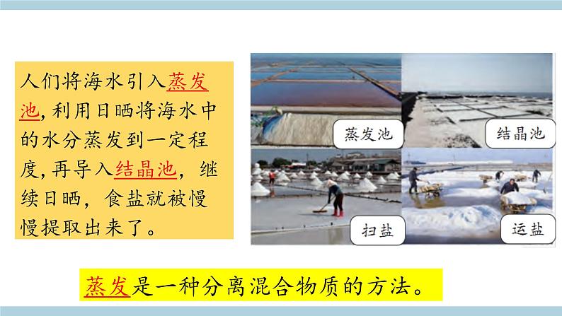 新大象版科学五年级上 准备单元 《蒸发的快慢》 教学课件第3页