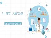 新大象版五年级上册科学2.1《感官、大脑与认知》 课件+课件练习+练习含答案+素材