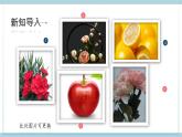 新大象版五年级上册科学2.1《感官、大脑与认知》 课件+课件练习+练习含答案+素材