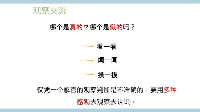 新大象版科学五年级上 2.1《 感官、大脑、与认知》 课件第4页