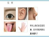 新大象版五年级上册科学2.1《感官、大脑与认知》 课件+课件练习+练习含答案+素材