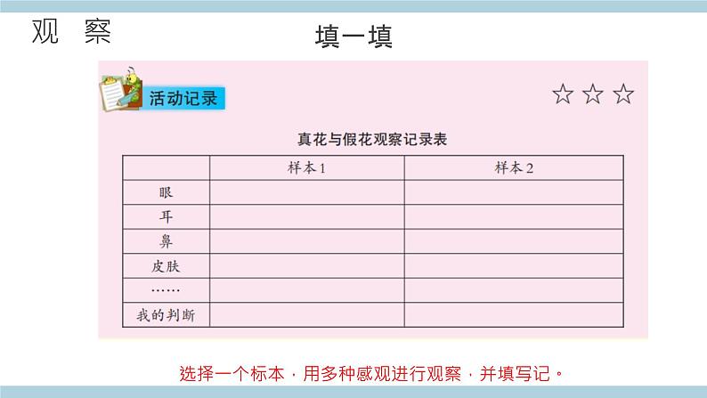 新大象版科学五年级上 2.1《 感官、大脑、与认知》 课件第7页