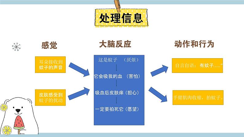 新大象版五年级上册科学2.3 《人体司令部》  课件+课件练习+素材04