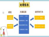 新大象版五年级上册科学2.3 《人体司令部》  课件+课件练习+素材