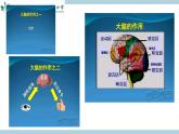 新大象版五年级上册科学2.4 《脑的保健》课件PPT