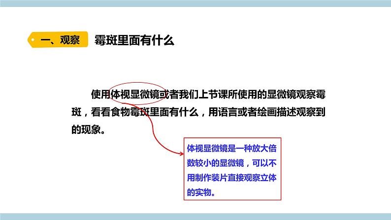 新大象版科学六上 1.3 《 发霉的馒头（含练习）》课件03