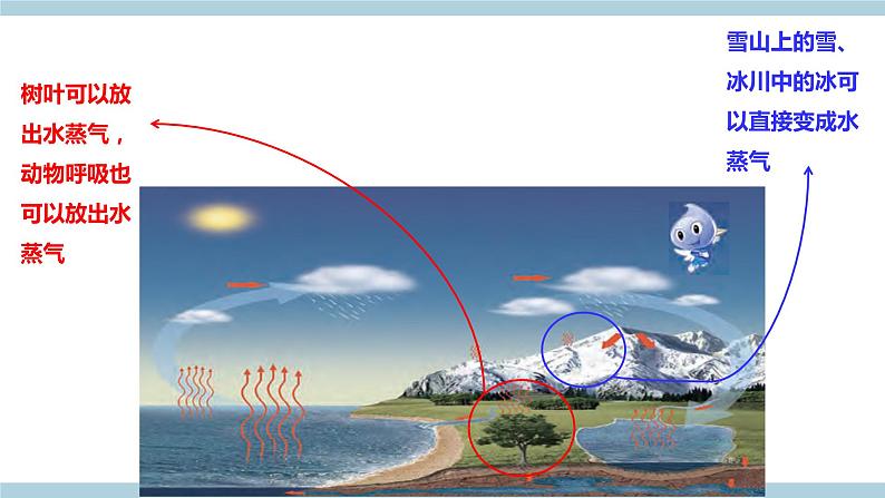 新大象版科学六上 2.4 《 自然界中的水循环（含练习）》课件04