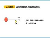 新大象版科学六上 3.1《月球、地球和太阳（含练习）》课件