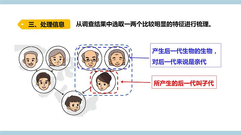 新大象版科学六上 4.1 《 我像谁（含练习）》课件05