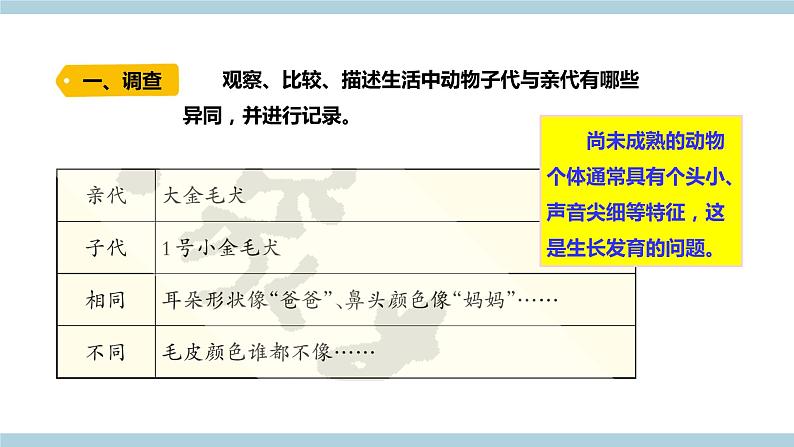 新大象版科学六上 4.2 《 动物的遗传和变异（含练习）》课件03