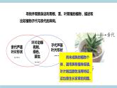 新大象版科学六上 4.3 《 植物的遗传和变异（含练习）》课件