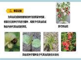 新大象版科学六上 4.3 《 植物的遗传和变异（含练习）》课件