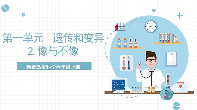 新青岛版六上科学 1.2.像《与不像》课件01